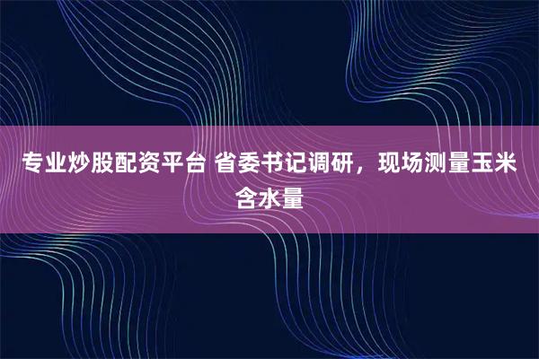 专业炒股配资平台 省委书记调研，现场测量玉米含水量