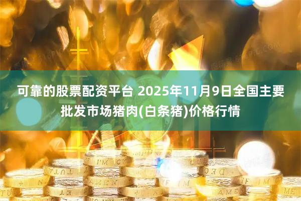 可靠的股票配资平台 2025年11月9日全国主要批发市场猪肉(白条猪)价格行情