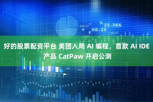 好的股票配资平台 美团入局 AI 编程，首款 AI IDE 产品 CatPaw 开启公测