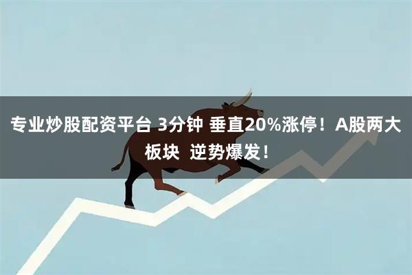 专业炒股配资平台 3分钟 垂直20%涨停！A股两大板块  逆势爆发！